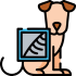 tomografía veterinaria pereira, tomografía mascotas pereira, resosnancia magnetica veterinaria pereira