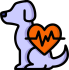 cardiologia perros gatos pereira, cardiologo veterinario